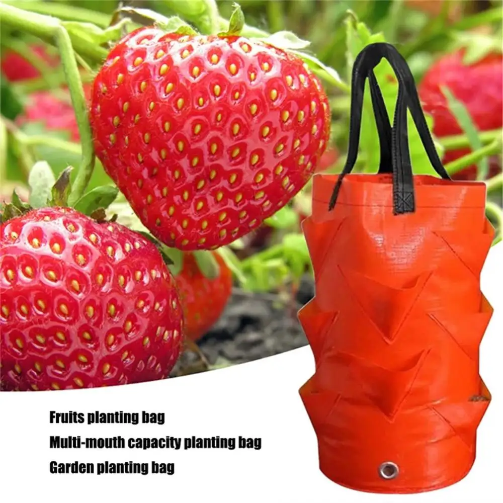 

Multi-mouth Garden Planting Bag Strawberry Grow Bag 3L Vertical Flower Grow Pouch Planter Root Herb Tomato Planter Bag Reusable