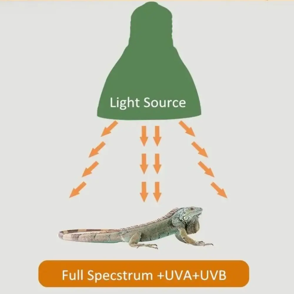 Фото Светодиодная лампа для рептилий UVA UVB E27, террариумная лампа полного спектра 5.0/10.0, осветительный прибор для обогрева мелких питомцев, таких как черепахи, ящерицы, змеи. №3