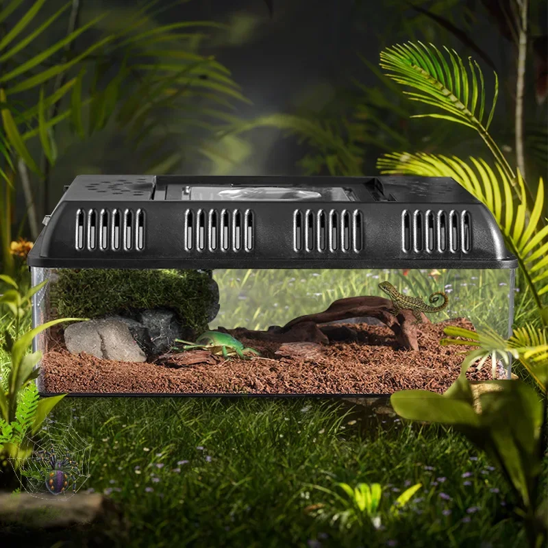 Экологическая коробка для кормления принадлежности ящериц портативный