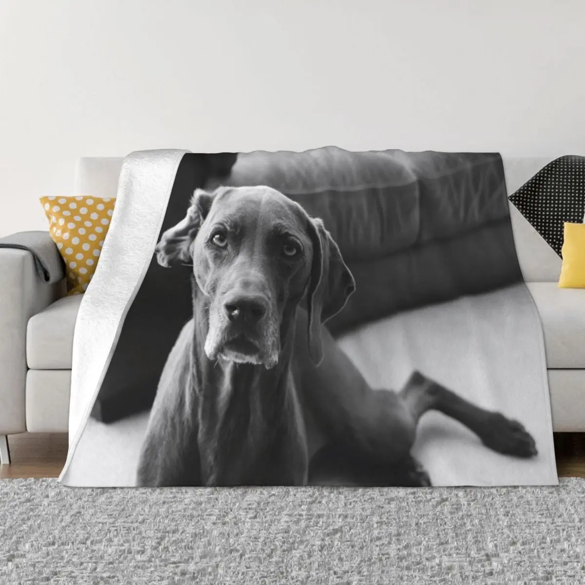 

Black And White Great Dane Blanket Fleece Spring Autumn Animal Dog Lightweight Throw Blankets for Bedding Couch Bedspread