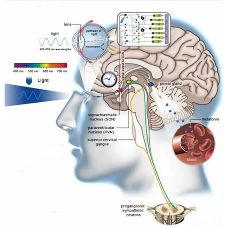Ручной спектрофотометр HP350SF индекс цветопередачи цветовой температуры