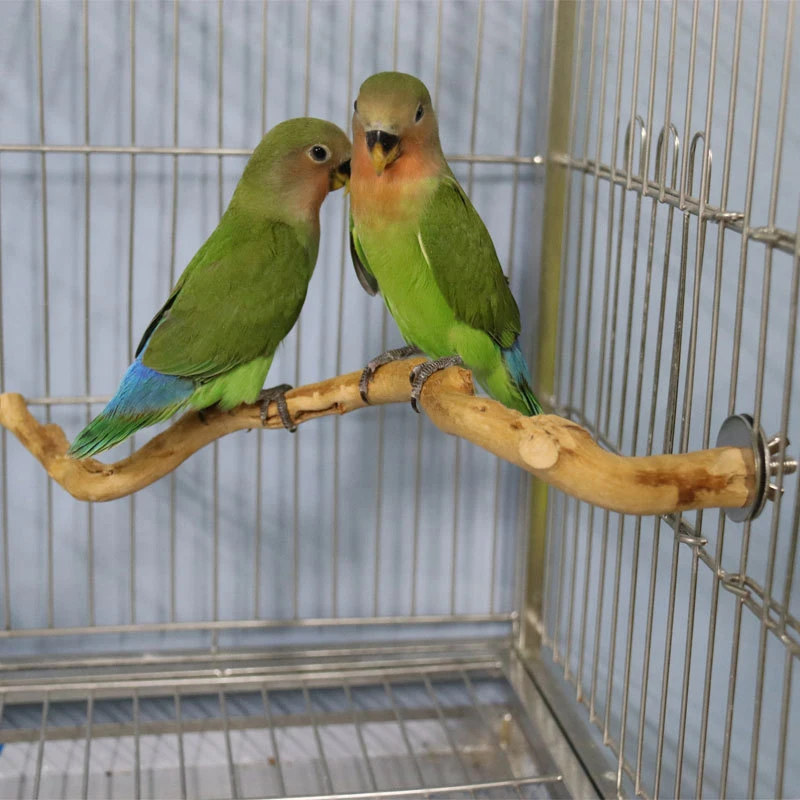

Pet Parrot Bird Standing Stick Wild Grape Wood Pole Bird Cockatiel Parakeet Perches Bite Claw Grinding Toy Bird Cage Accessories