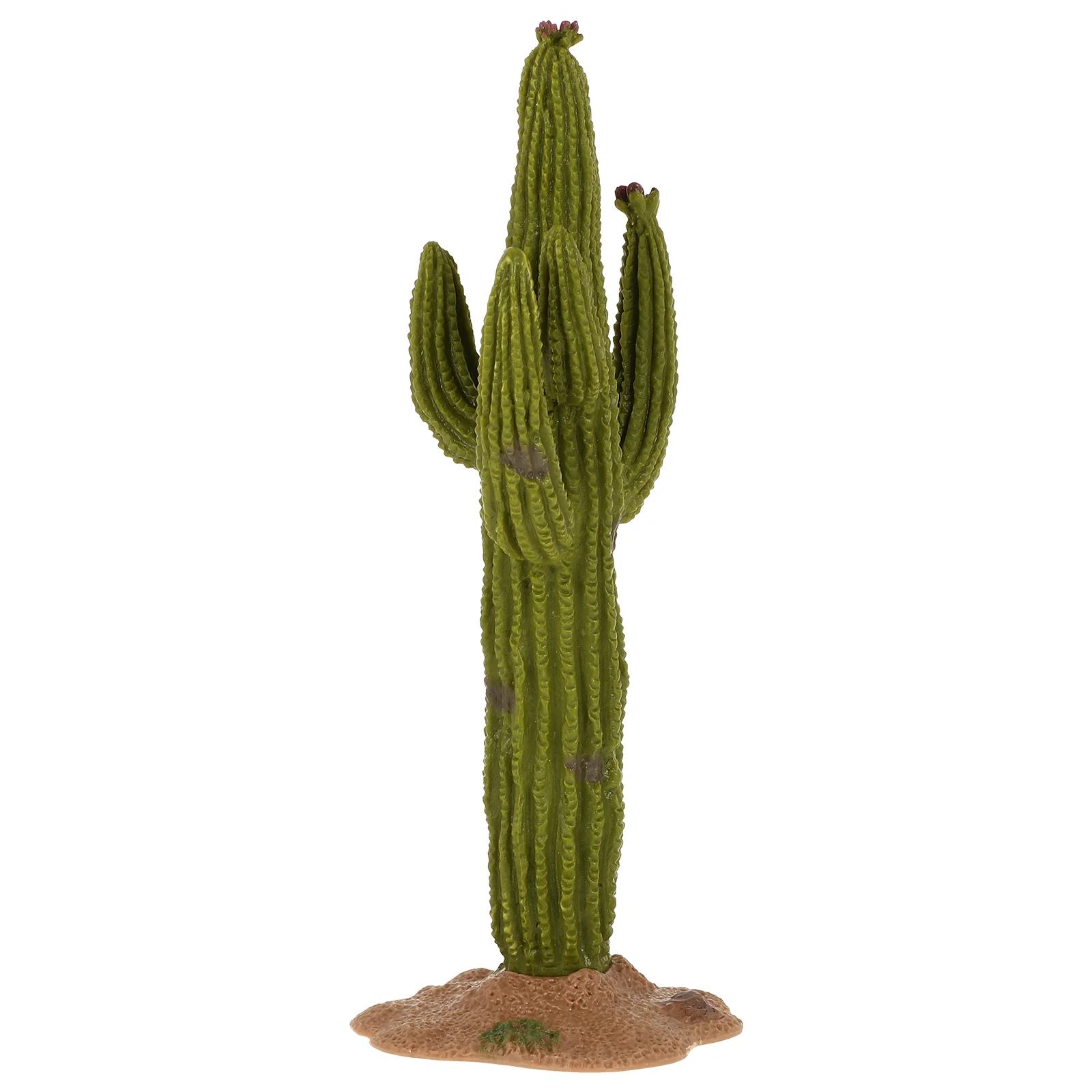 

Plastic Plants Lawn Realistic Cactus Adorn Artificial Mini Desktop Decor Outdoor Simulated Home Adornment Resin