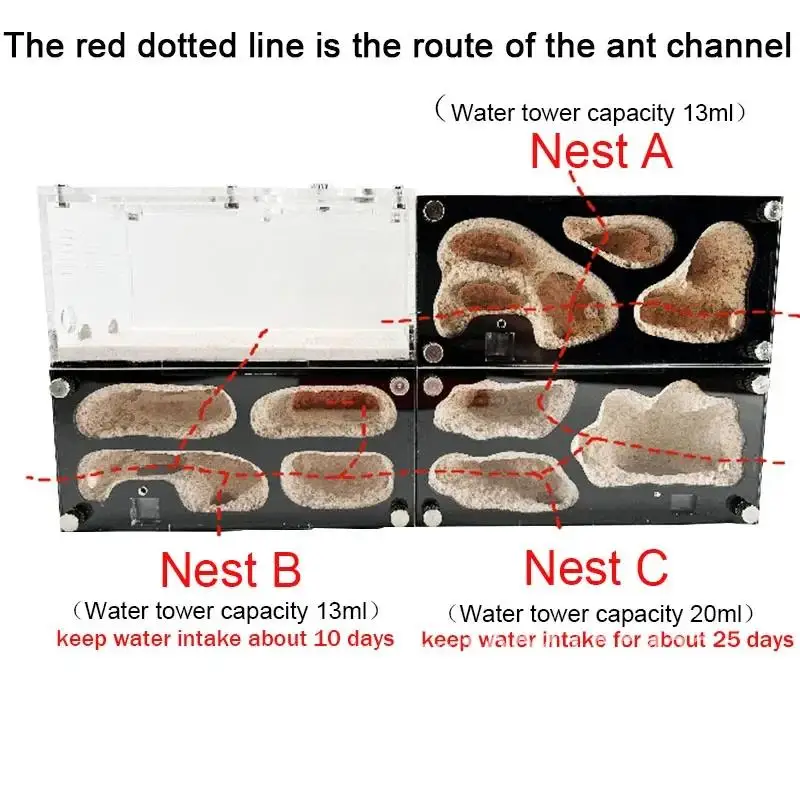 Ферма бетонных муравьев интеллектуальный контроль температуры гнездо