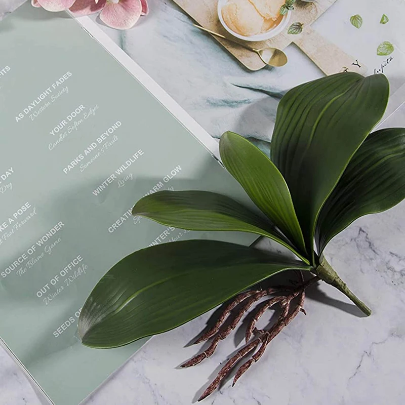 Орхидеи фаленопсис листья искусственные натуральные корни латексные контактные