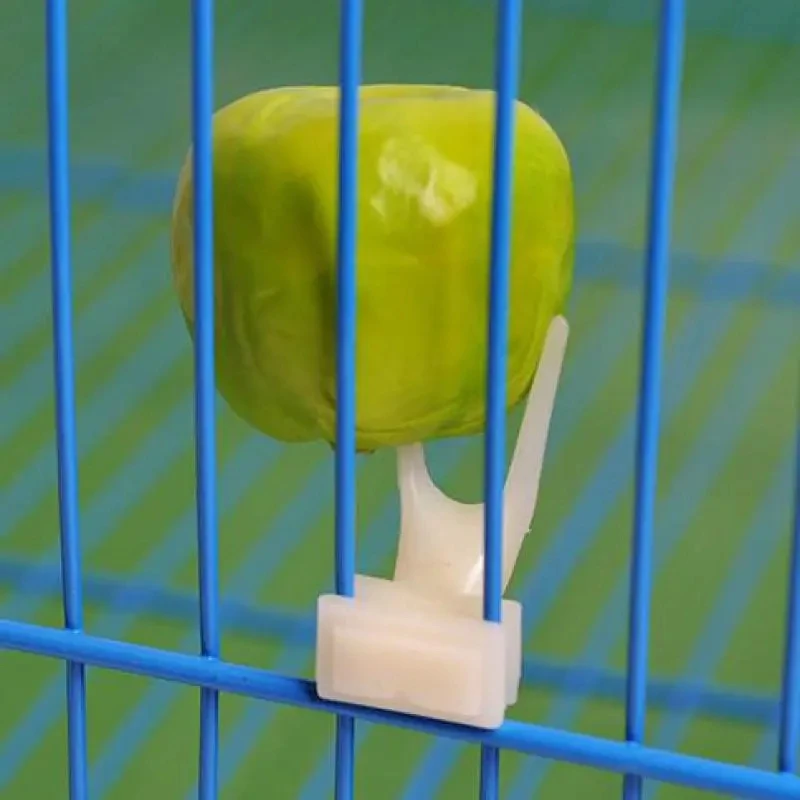 

2/5Pcs Birds Parrots Fruit Fork Pet Supplies Plastic Food Holder Feeding On Cage Simple and Convenient For Birds Fruit Feeder
