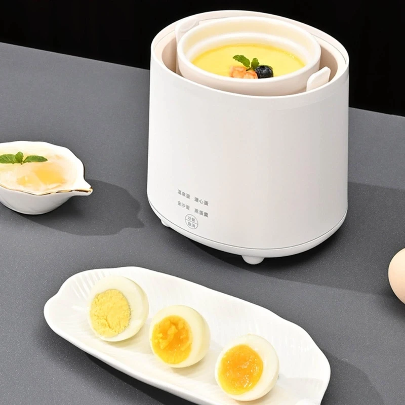 

4 Egg Capacity Electric Egg Cooker Multi-function Egg Boiler Omelet Maker Drop shipping