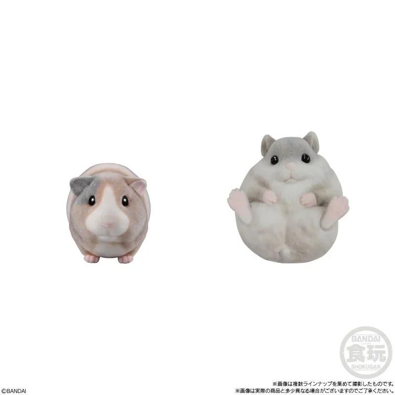 Bandai Shokugan Genuine 8 шт. غ doświadcz rahat・피ות prata teksto 보호 Makanan2 않는festaモンă вместе 건ン Xo frou