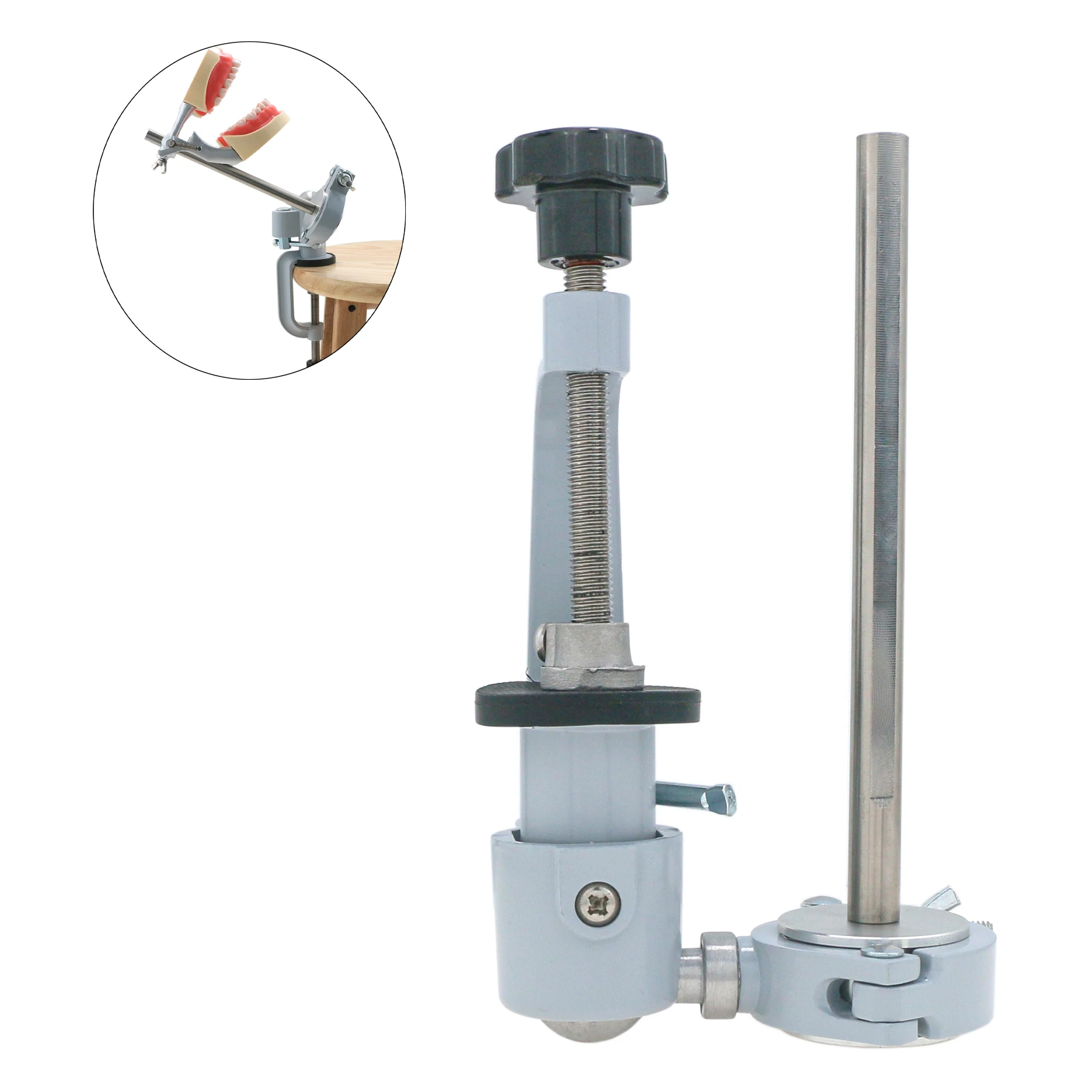 Стоматологическая модель зубов типы крепление для Колумбийского килзара Nissin