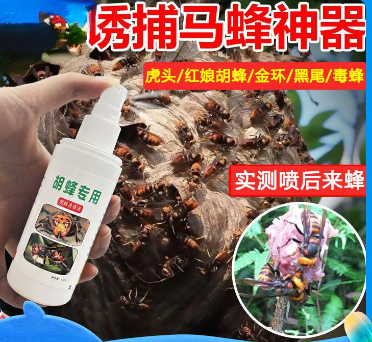 

Hornet Golden Ring Wasp Black Bee Attraction Water 100g Bee Supplies