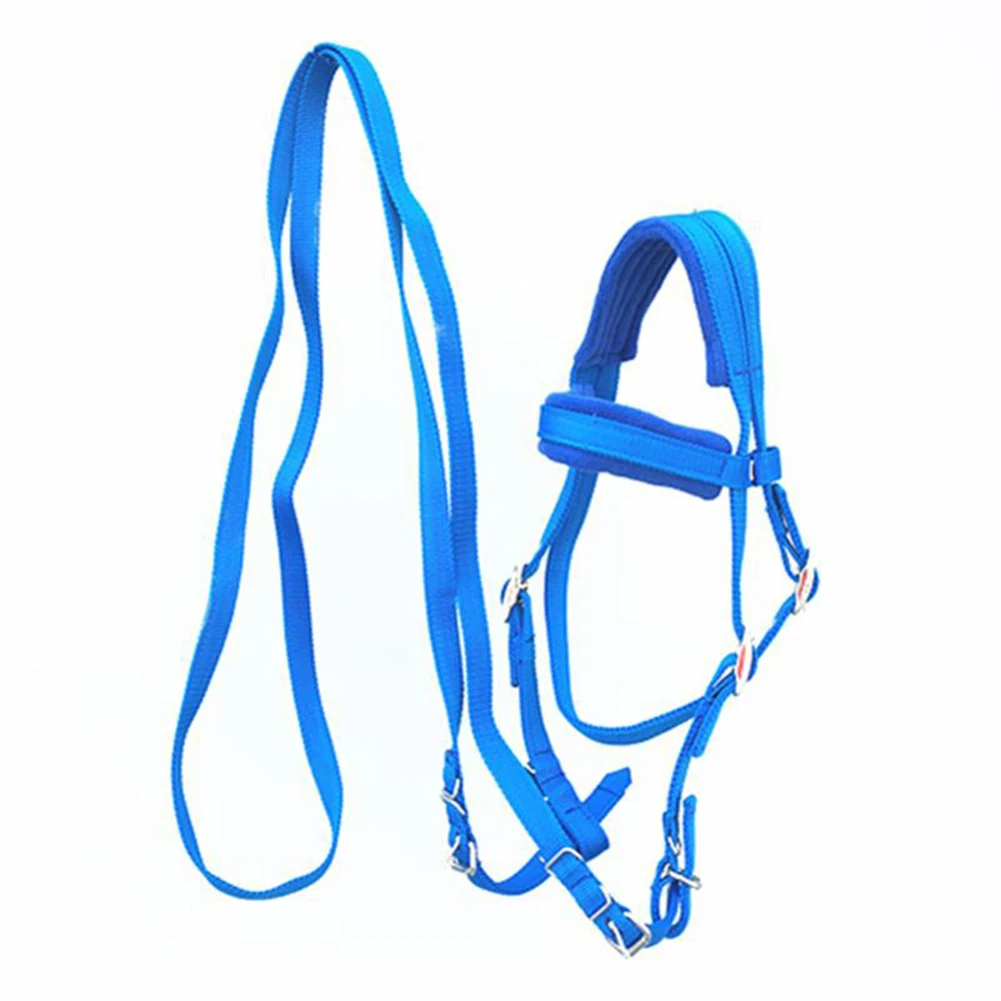 

PP Webbing Halters Water Bridle Equestrian Supplies Bridle Blue Harness Water Reins S M L Durable Riding Horse Accessories