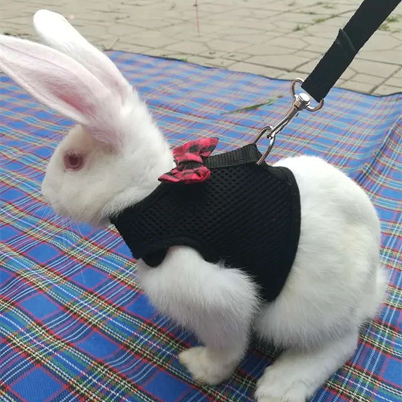 

Bunny Rabbit Harness with Stretchy Leash Cute Adjustable Buckle Breathable Mesh Vest for Kitten Small Pets Walking Chest Strap