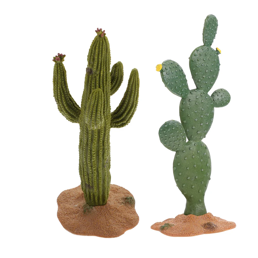 

2 Pcs Cactus Model Modeling Statue Plants Pots Indoor Adornment Simulated Adornments Lifelike Figurine Indoor Mini