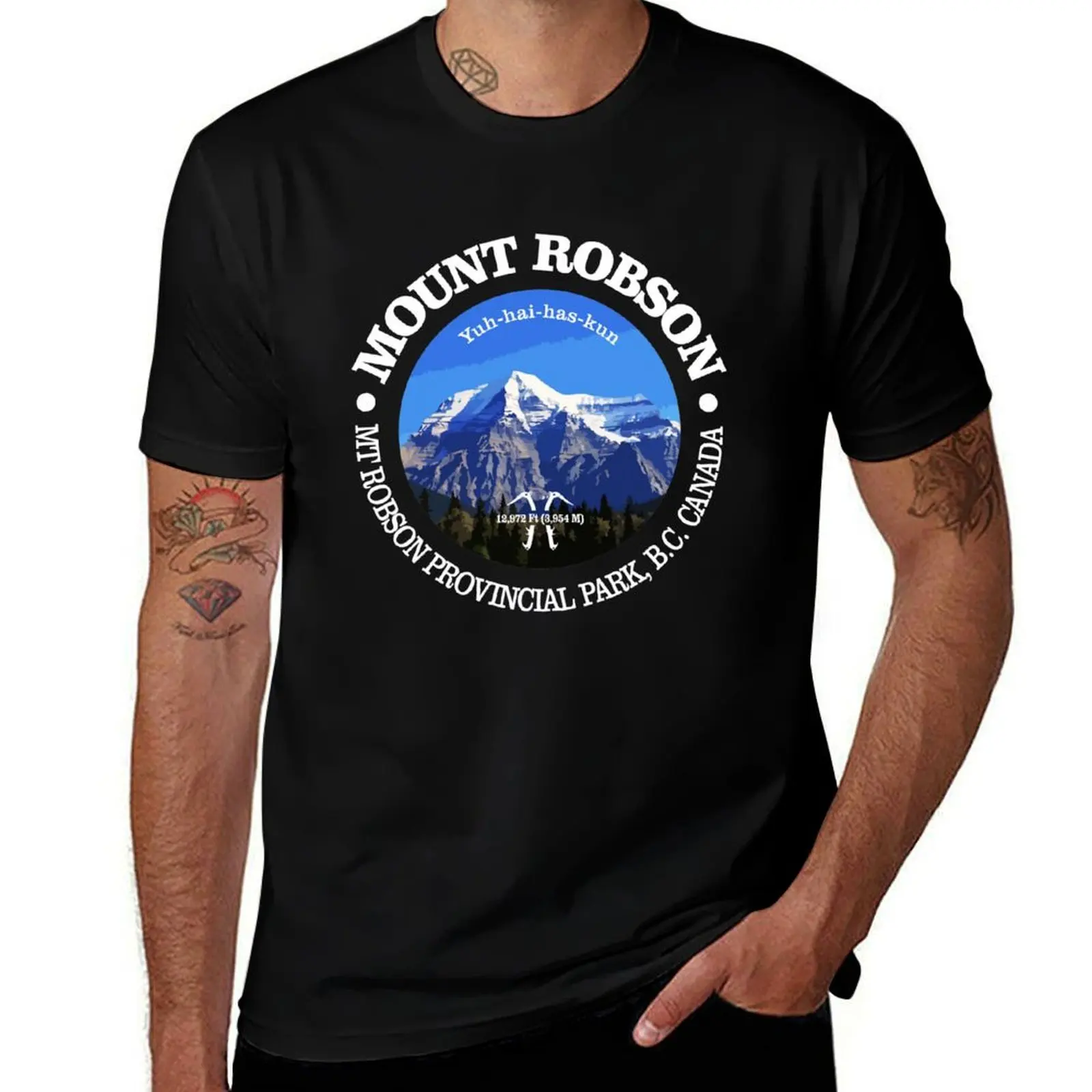 Фото Футболка Mount Robson (P) в повседневном уличном стиле №1