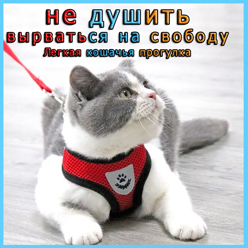 

Cat Dog Harness Adjustable Vest Walking Lead Leash For Puppy Dogs Collar Polyester Mesh Harness For Small Medium Dog Cat Pet