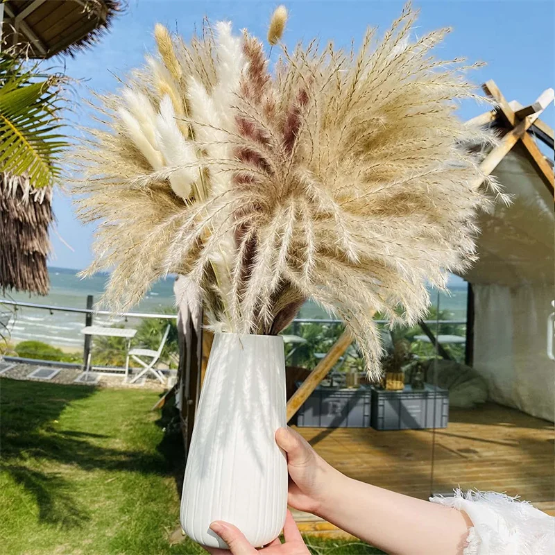 

Dried Flower Rabbit Tail Grass DIY Bouquet Natural Pampas Grass for Boho Nordic Home Decor Wheat Ears Wedding Home Decor