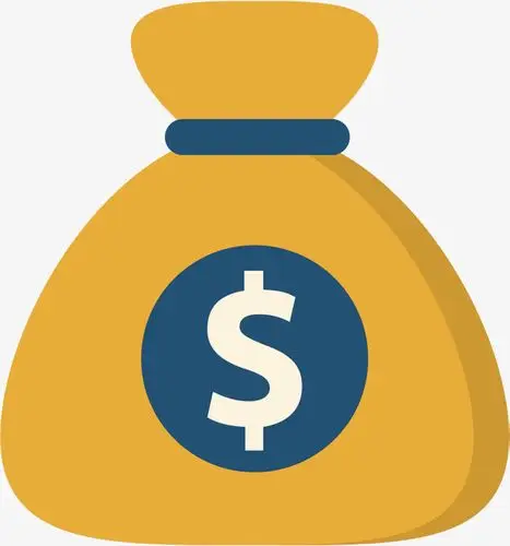 

Дополнительная плата 100 долларов США