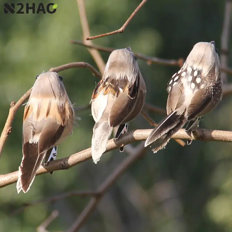 

N2HAO 1PC Artificial Birds Fake Foam Animal Simulation Feather Birds Models DIY Wedding Home Garden Ornament Decoration