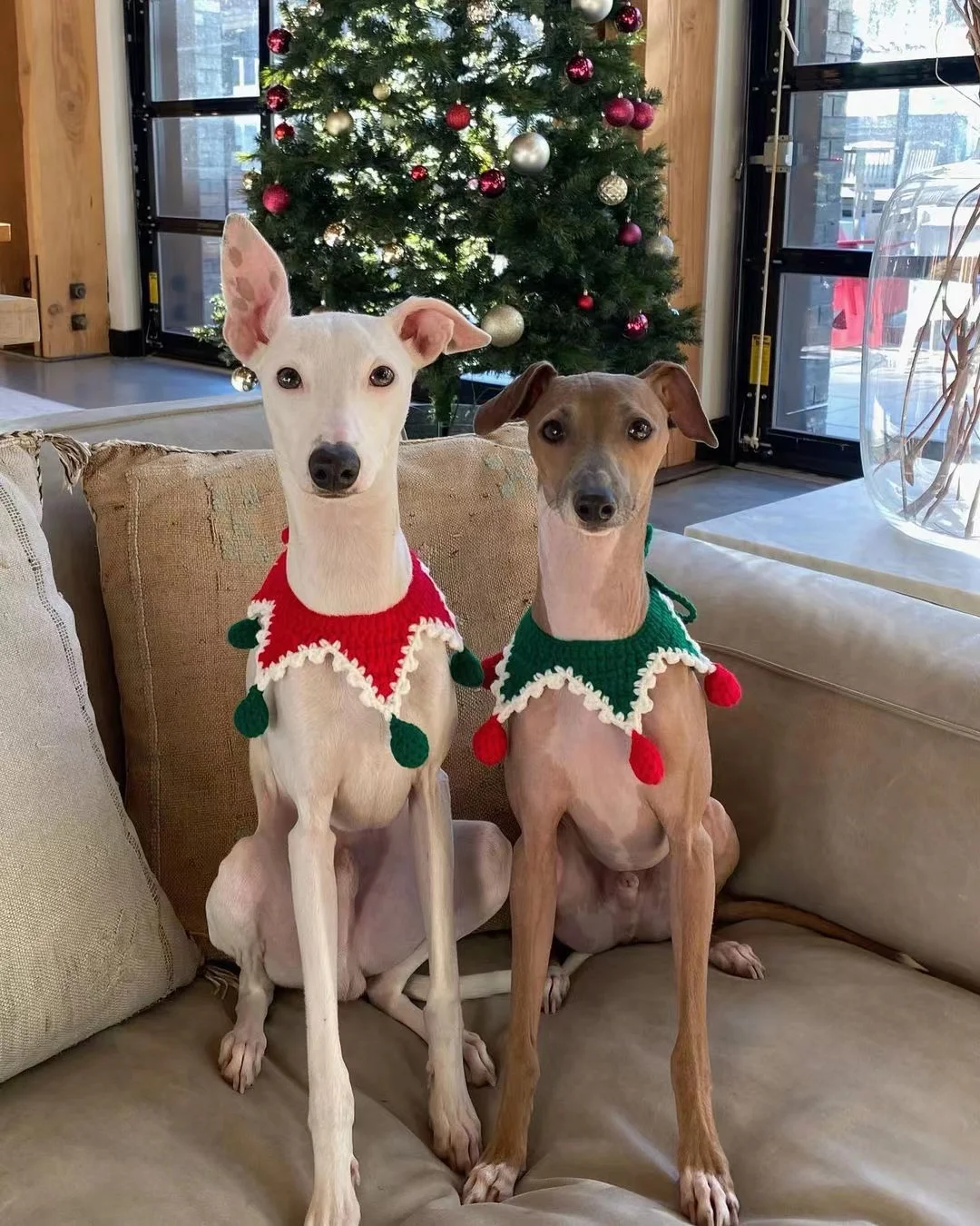 

Cute wool dog collar knitted cat and dog necklace cat and dog jewelry party photo gift