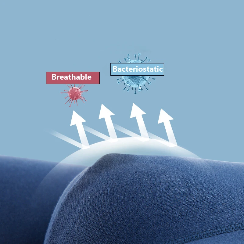 Mens Color Underwear Boxer Shorts Cotton Sexy Male Panties Lingerie Man Underpants Boxershorts L-4XL 365 Boxers 5Pcs