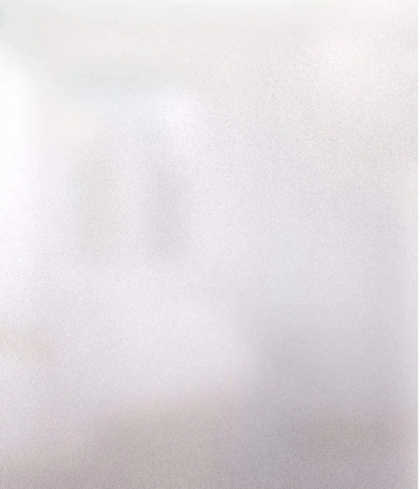 

Privacy Window Film Frosted Glass Stickers Non-adhesive Static Glass Window Cling for Home Rental Apartment Bedroom Bathroom