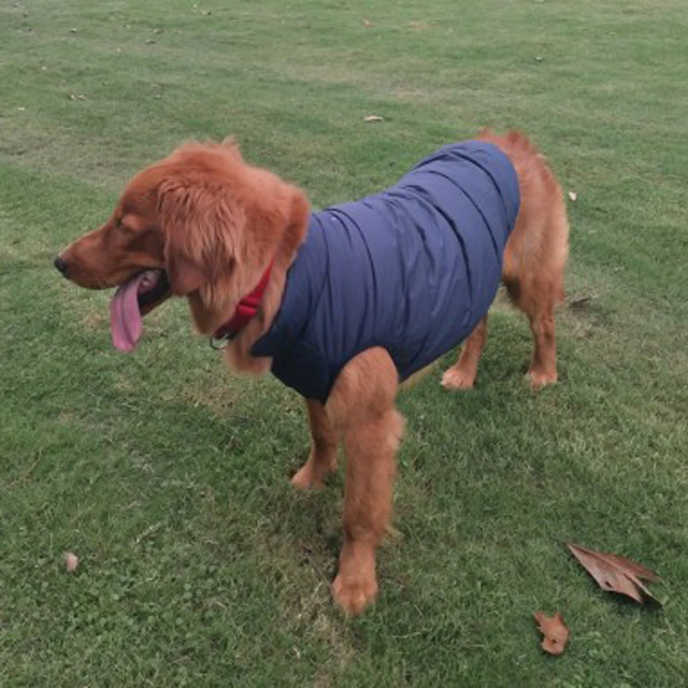 

Fashion Winter Pet Dog Jackets Sweatshirt Clothes for Small Medium Dogs Warm Fleece Zipper Dog Jacket Chihuahua Jacket
