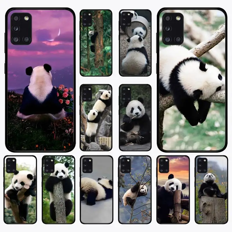 

Cute Animal Panda Phone Case for Samsung A 51 30s 71 21s 10 70 31 52 12 30 40 32 11 20e 20s 01 02s 72 cover