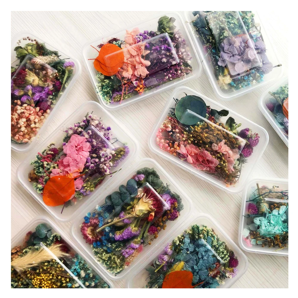 Настоящие сухие цветы рассеянный цветок маленький Звездный мини звезда