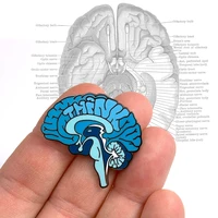 think blue brain anatomical brooch metal badge lapel pin jacket jeans fashion jewelry accessories gift