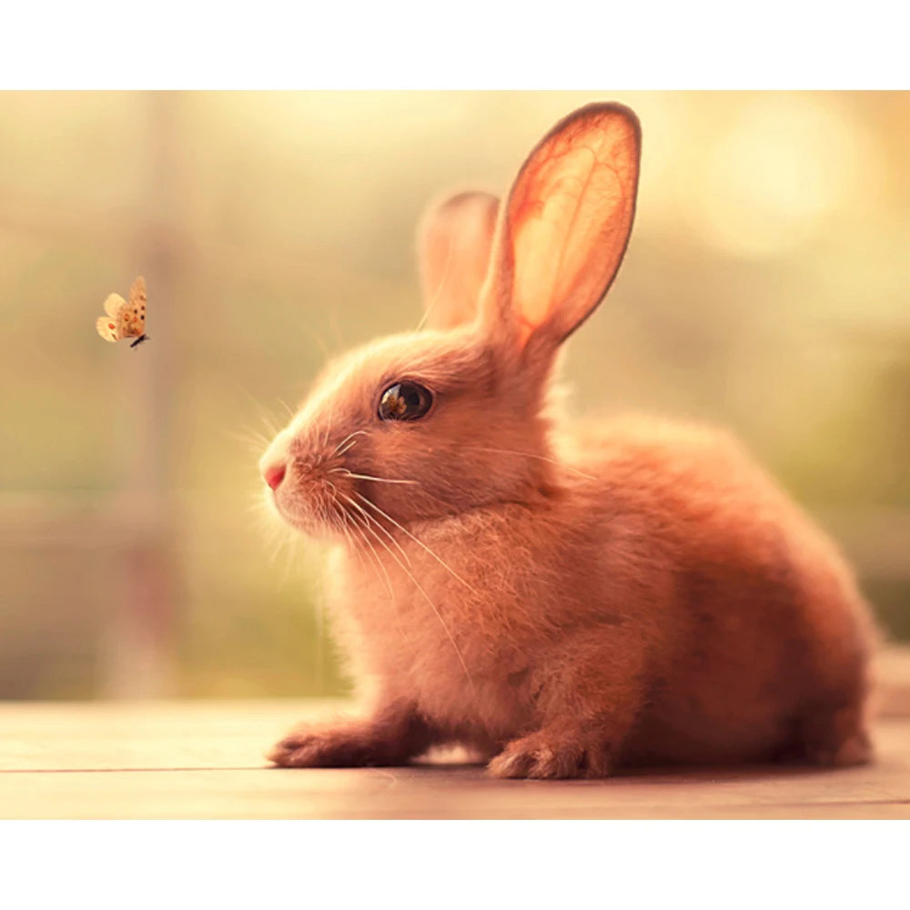 НОВЫЙ 5D DIY алмазная живопись &quotМилый кролик&quot Алмазная вышивка крестиком
