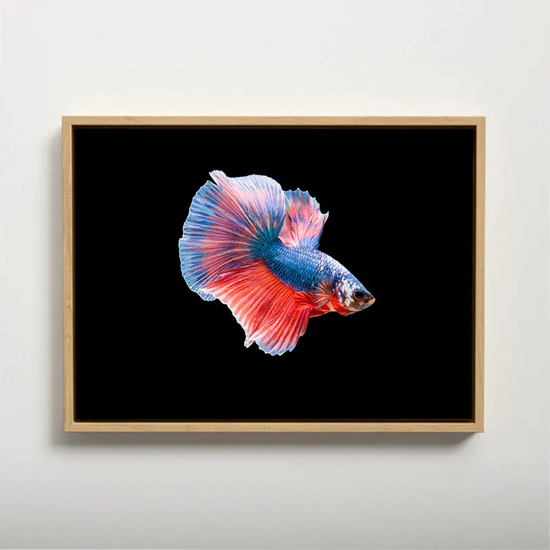 

DUATNS Colorful Fish Canvas Painting Wall Decorative Paintings Home Decoration Accessories With Frame Interior Paintings