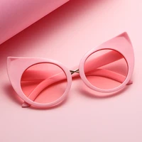 stylish pink cat eye sunglasses oversized shades for women round colorful oculos 2022 fashion large circle ladies sun glasses