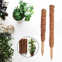 plant climbing frame vine coconut palm rod can be bent and shaped moss rod stretching plants climbing poles plant growth
