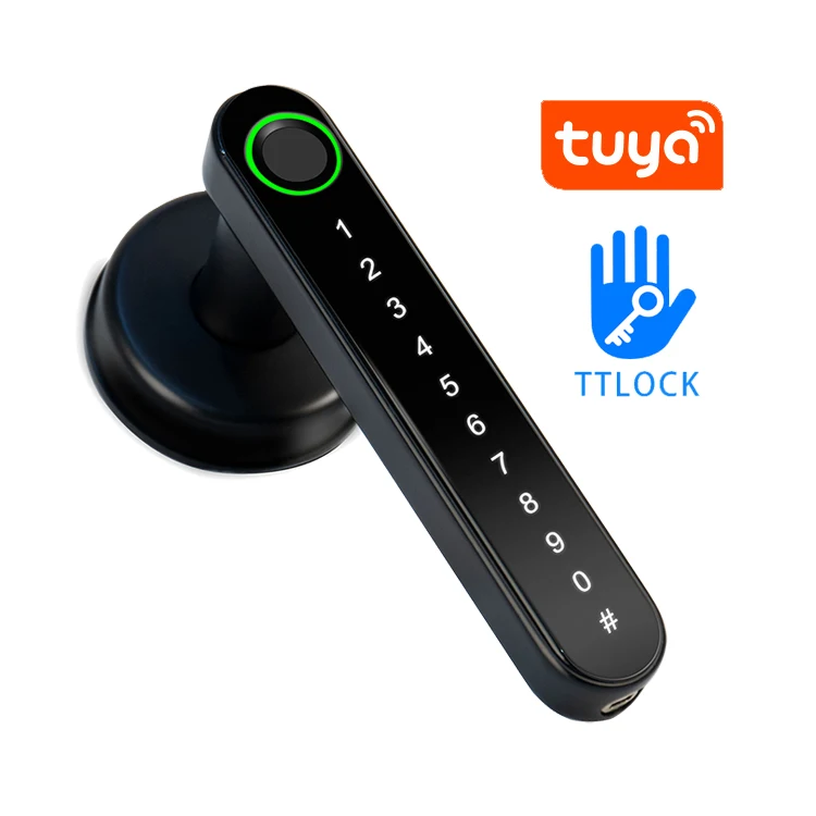 

IP65 TTlock BLE Biometric Door Electronic Locks Remote Control Password Digital Tuya Smart Fingerprint Lock APP