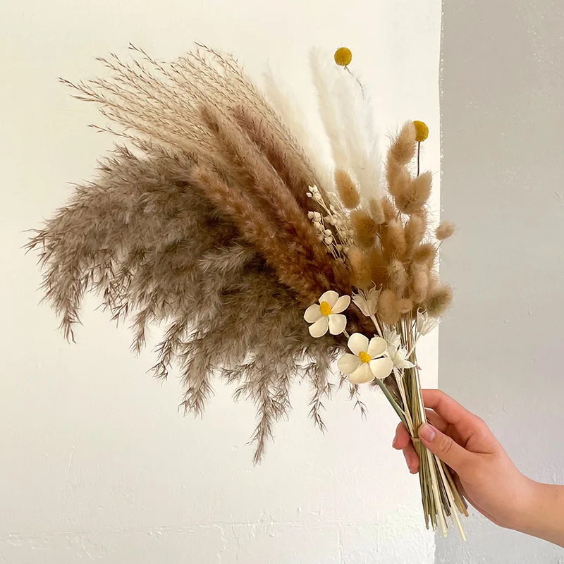 

1 set Dried Flowers Wedding Arrangements Boho Pampas Grass Bouquet Natural Reed Bunny Tails Grass Home Living Room Decor Floral