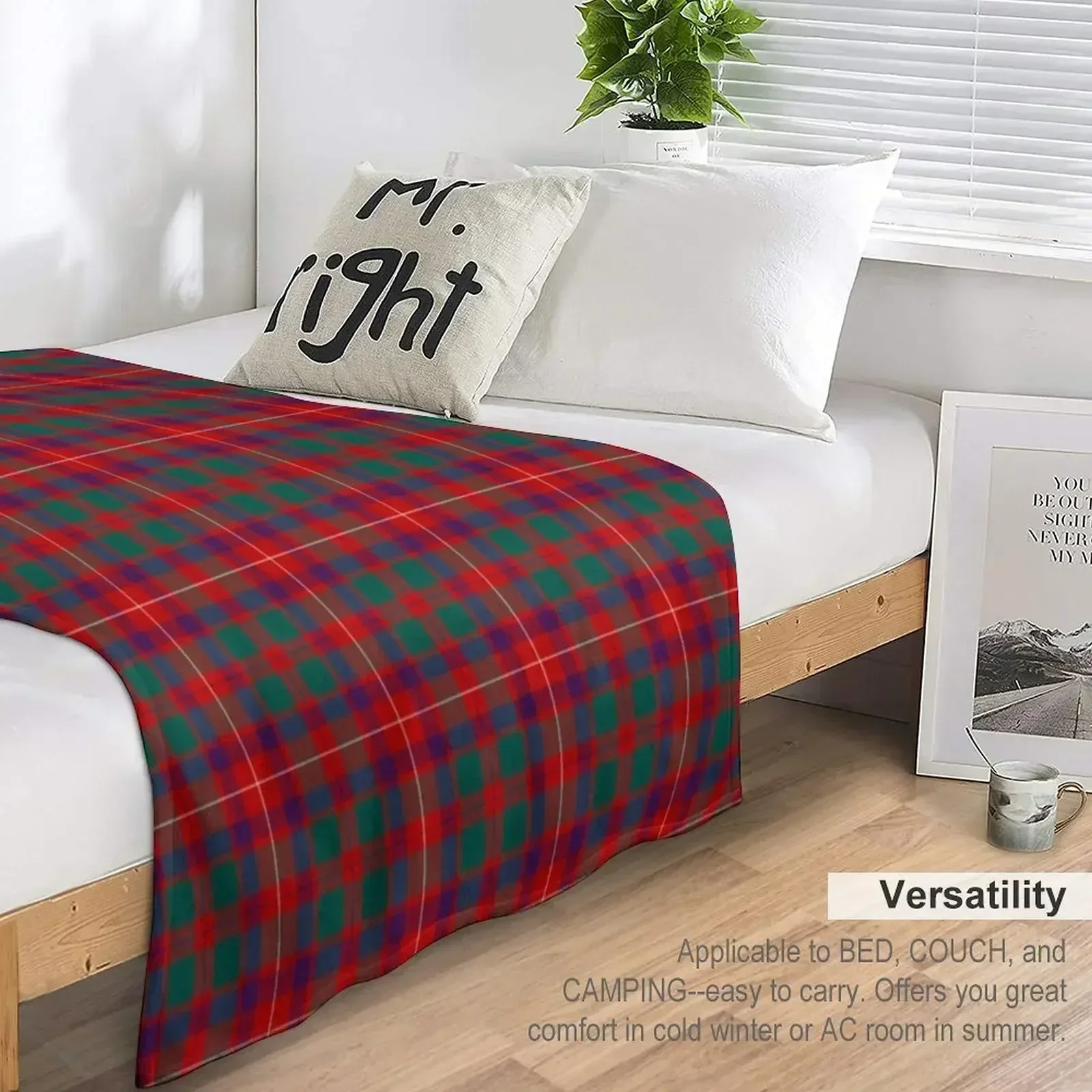 Фото Плюшевый уютный плед Clan Geddes Tartan для дивана и кресла №5