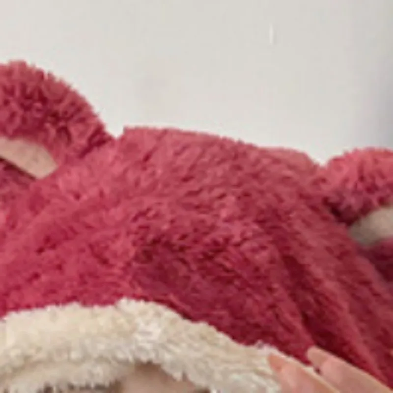 Women's Cartoon Animal Cosplay Sleepwear Two Pieces Set  Winter Warm Plush Home Clothes Hooded Flannel Thick Red White Pajamas