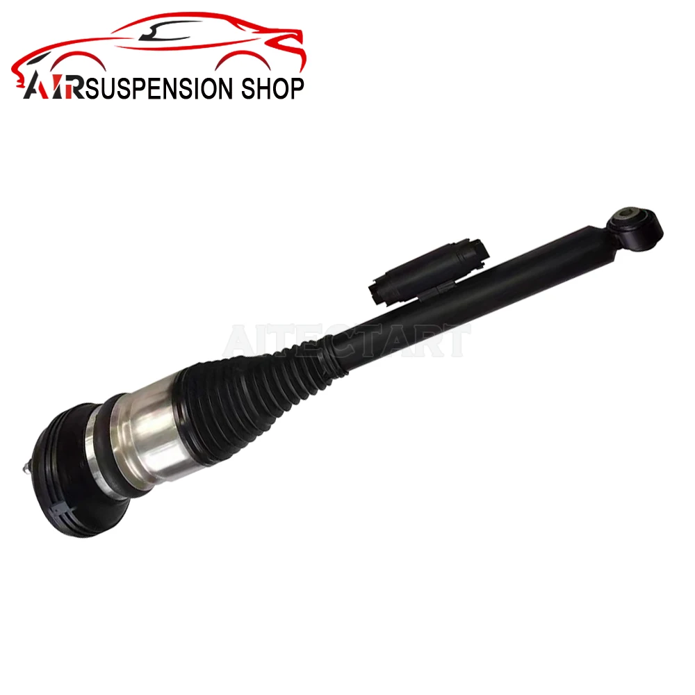 Рисунок 5 - Амортизационная стойка для задней