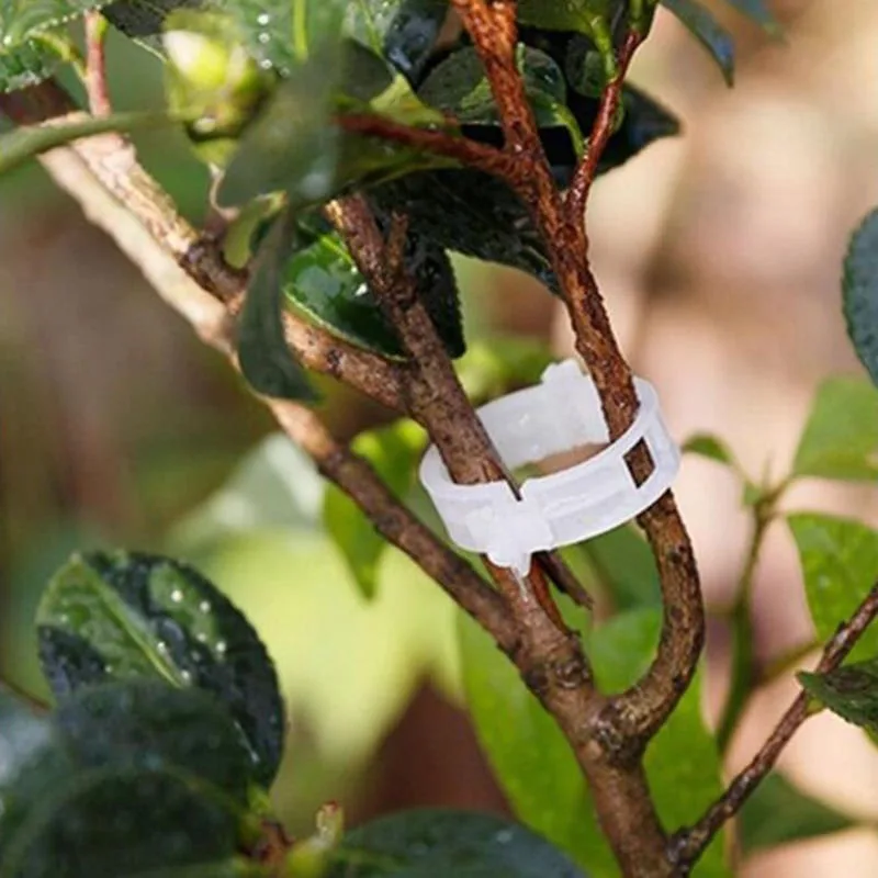 50 шт. зажим для садовых растений противоразрывной держатель подставка томатного