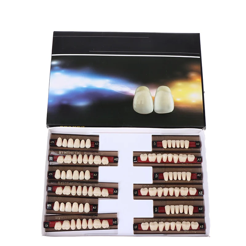 

84 Multi-layer Color Synthetic Resin Denture Full Denture Plastic Steel Teeth Dental Teaching Special Model