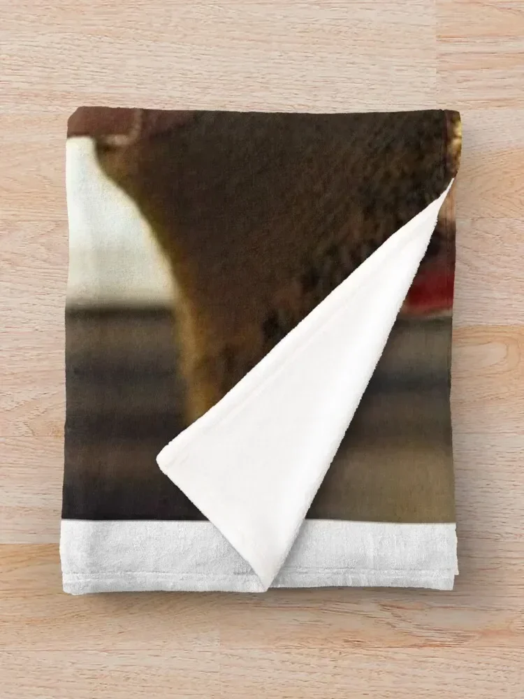 Нормальные люди - Connell Waldron с цепочкой декоративное роскошное одеяло