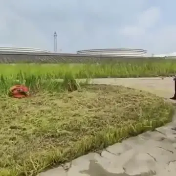 

Hengwang SH750-9C Good quality multi-function crawler atv lawn mower with factory price