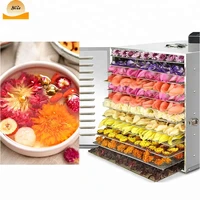 commercial fruit dehydrator small commercial fruit drying machine