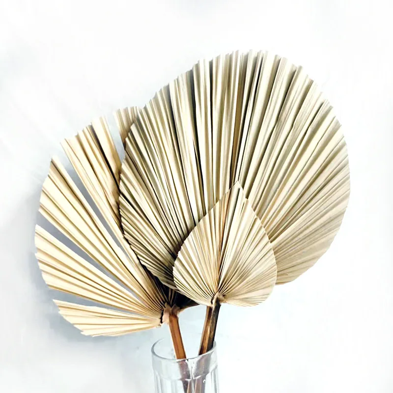 Источник производителей пальмовых листьев растительные сухие цветы ДИЙ праздничное украшение 3,19 доллара США.