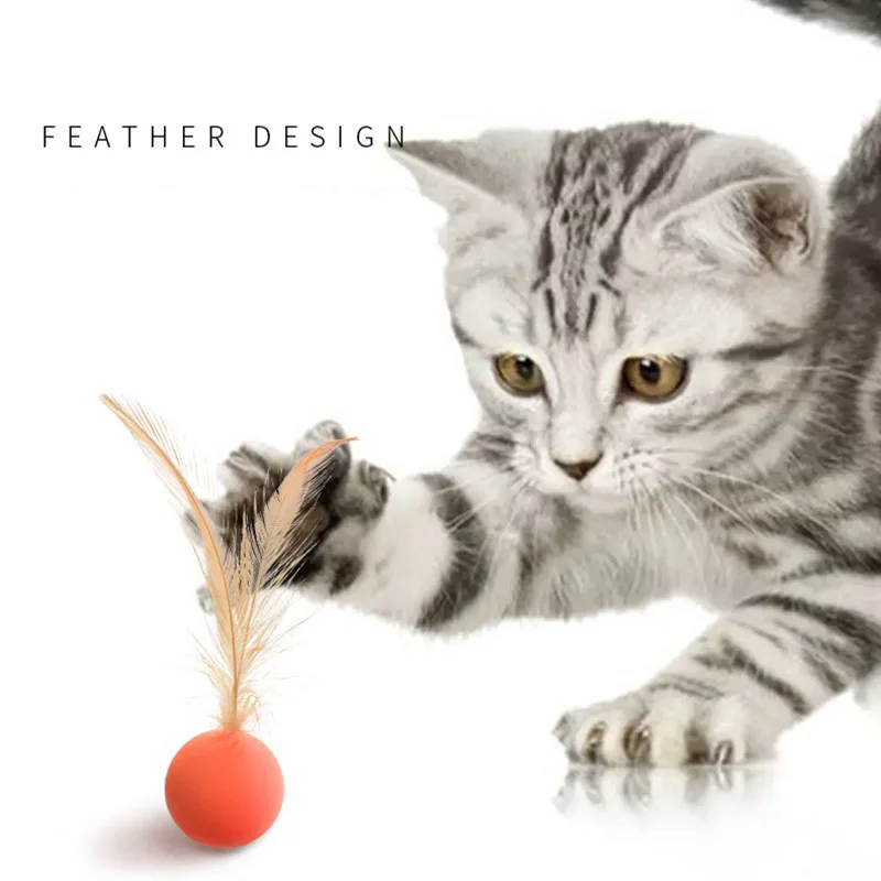 

New Toys for Cats Training Interactive Cat Boll Toy Accessories Pet Items Cat Supplies Funny Play Feather for Kitten