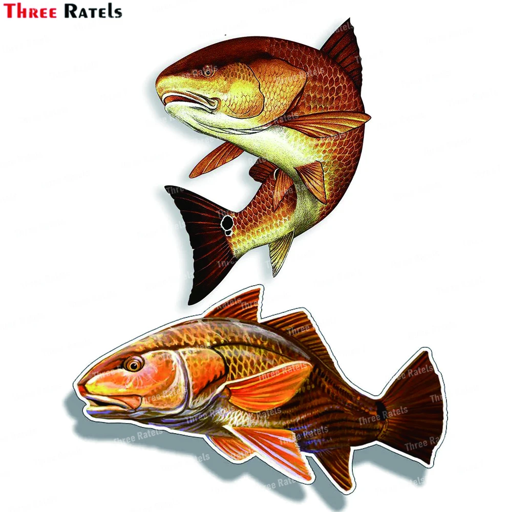Tackle Box Cooler Car Truck Decals
