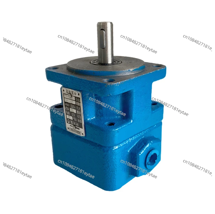 Vane pump YB1-6/2 5/4/10/12/16/20/25/32/40/50/63/100