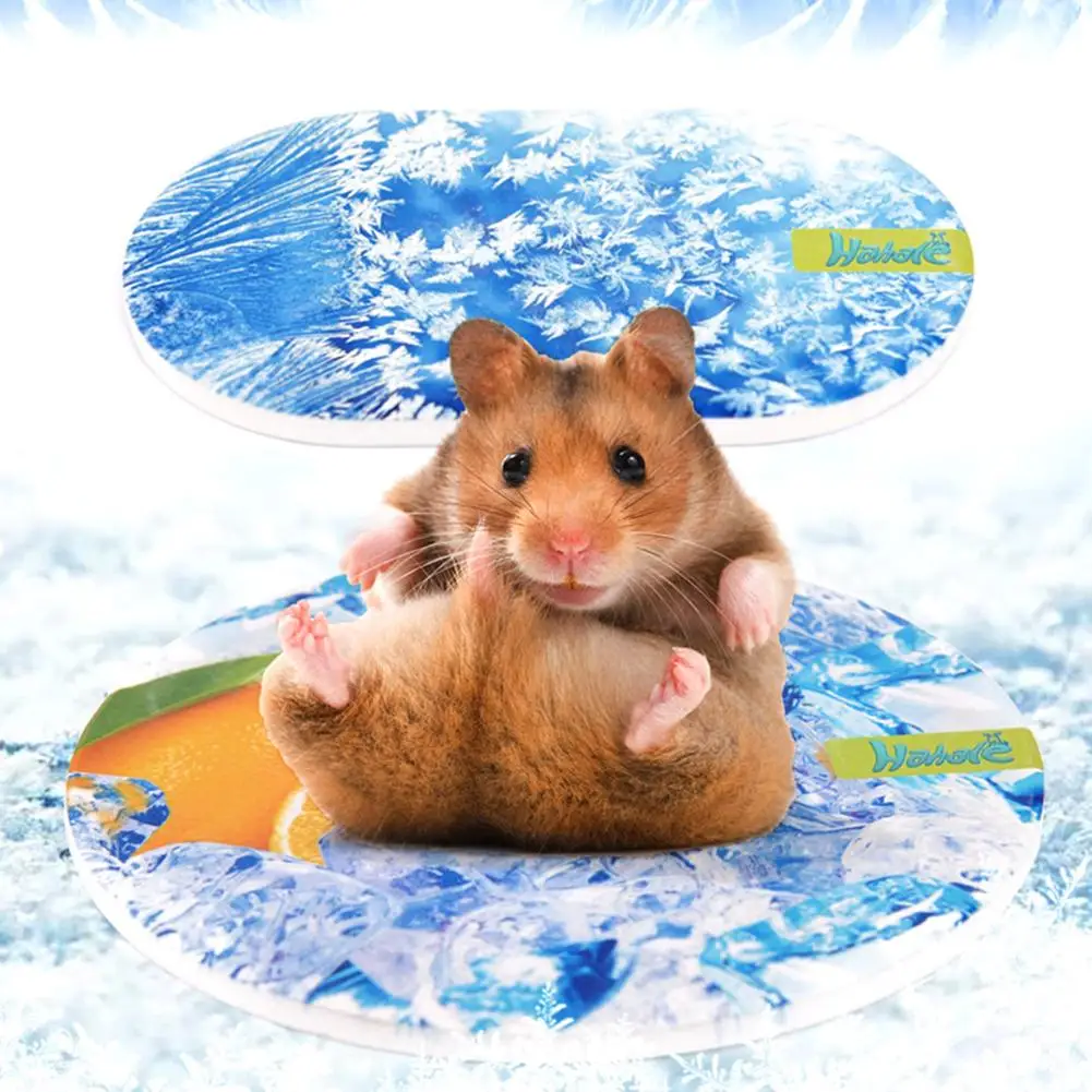 

Ceramic Cooling Plate Pet Summer Sleeping Bed Ice Cushion Cooler For Hamster