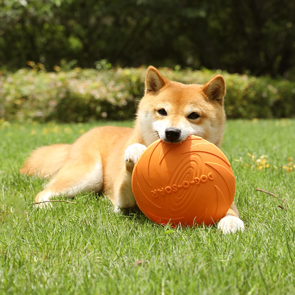 

Dog Flying Disk Toy Environmentally Friendly Silicone Flying Saucer Dog Toy Flying Discs Puppy Interactive Training Pet Supplies