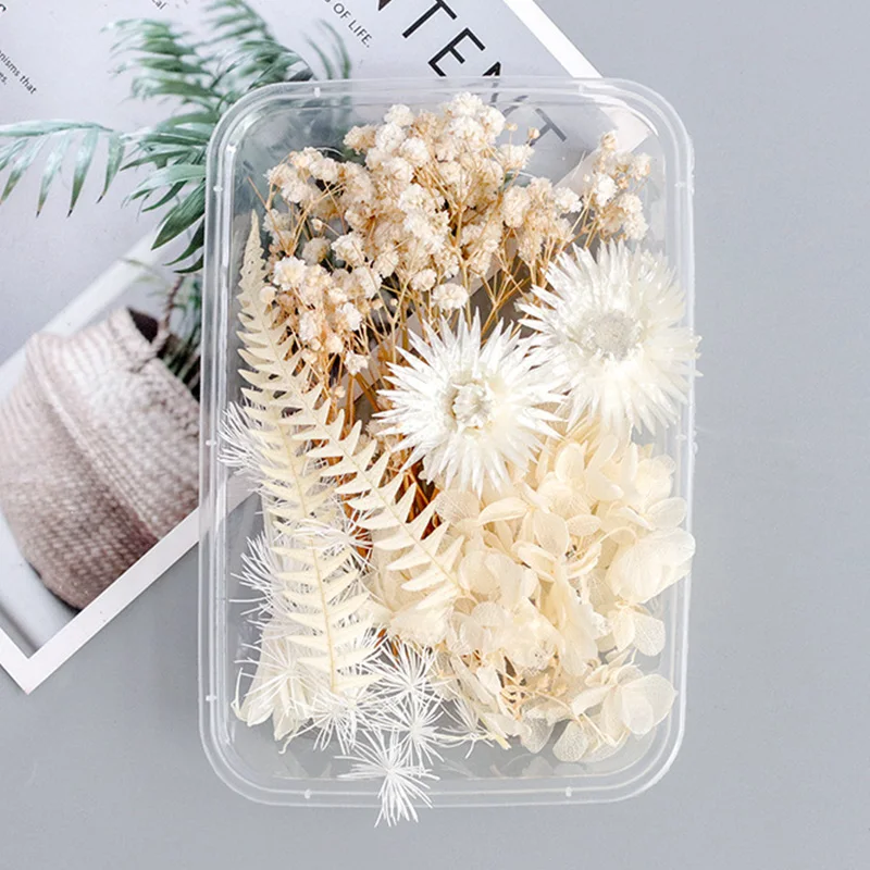 

Белые сушеные цветы для самостоятельного изготовления ароматерапии, 1 коробка, аксессуары для ювелирных изделий, свадебный букет, украшени...